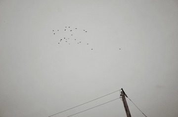1000013028
