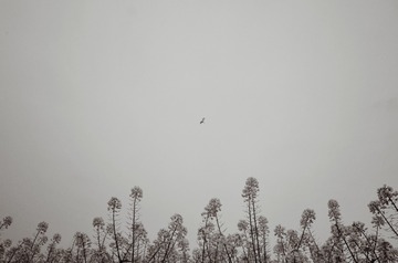 1000013022