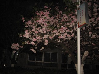 60B5D942-5E5D-4C80-B791-DD84ACB38D2A/L0/001