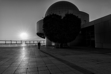 _DSC2171