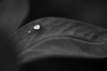 _DSC0065