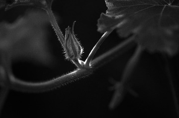 _DSC0031