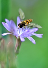 _DSC0767 (2) 1000
