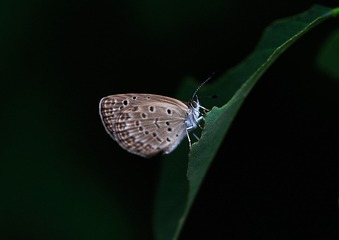 _DSC0623  800