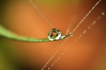 _DSC0332 