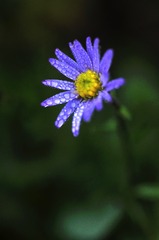 _DSC0449 图虫