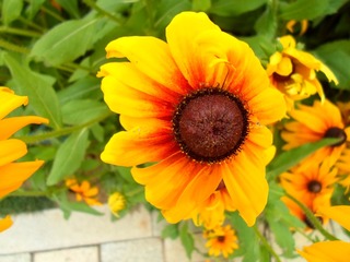 花