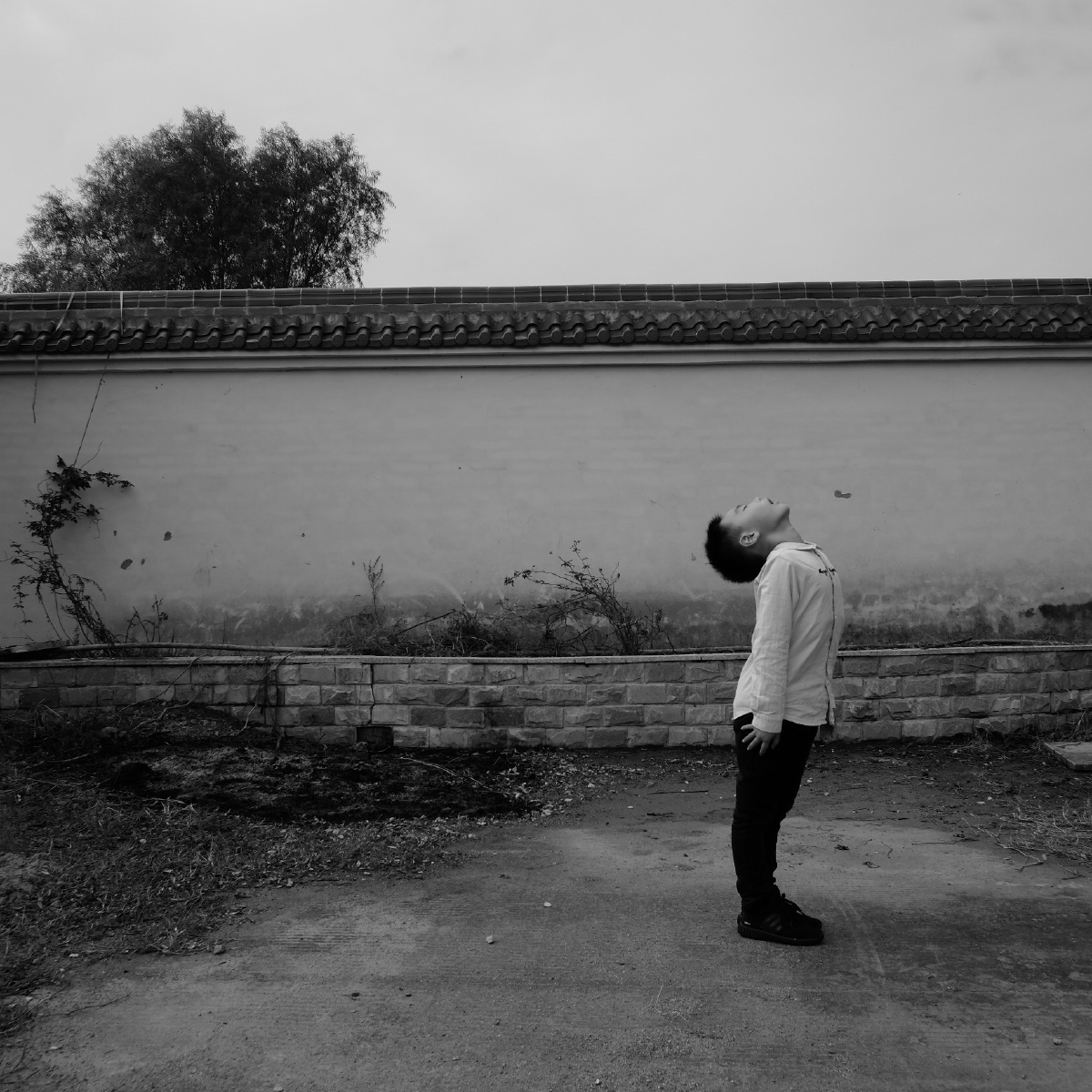 黑白, 摄影 - 低一点的天空 - 图虫摄影网