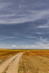 463249
