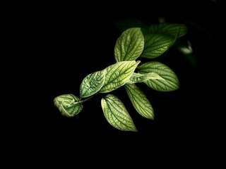 A2E6E7DA-5885-4276-950D-51BC438DF2FD/L0/001
