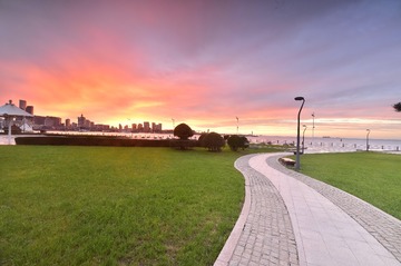 _DSC4906