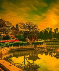 青岛春日的晨色