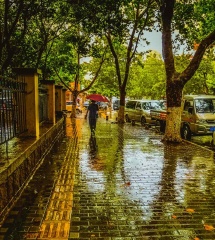 青岛雨中的随拍
