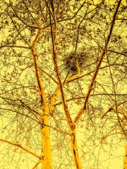 青岛初冬的随拍