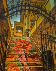 青岛深秋的老街随拍