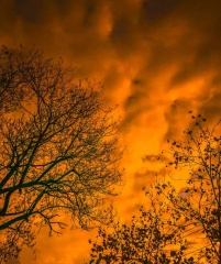 青岛冬日的晚霞