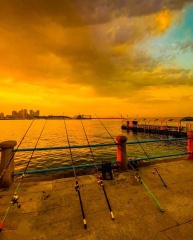 青岛朝霞中的垂钓