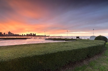 _DSC4916
