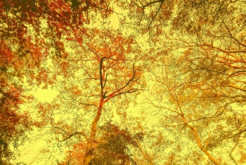 青岛初冬的色彩