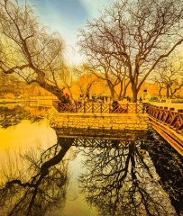 青岛初春的随拍