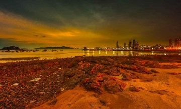 青岛华灯初上的的海湾