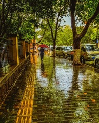 青岛的雨中随拍