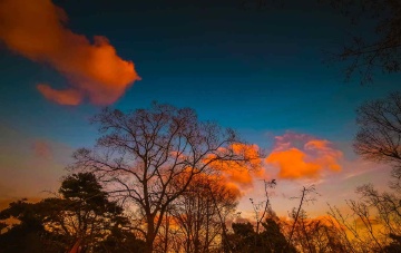 青岛冬日的晚霞