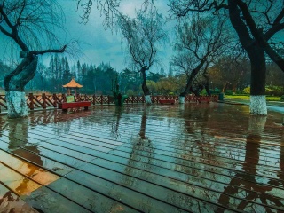 青岛冬日的雨中随拍