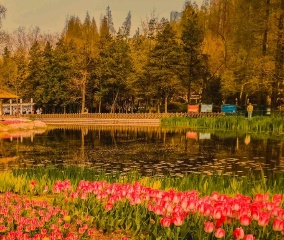 青岛春日的公园