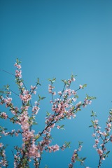 88545C4C-97F7-4ED6-90D5-960CC3642526/L0/001