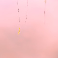4207405E-3B1E-4859-B3EC-2F4D834FDF72/L0/001