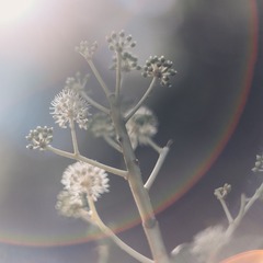E809BA2D-04A1-4D37-8058-A1F68076B239/L0/001
