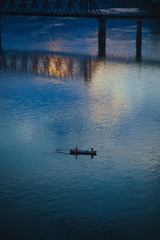 A7F64033-F892-4A13-82EB-28FDFD022670/L0/001