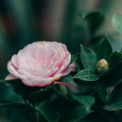 68B1E631-B581-4F3F-B00E-E34DB638B6E2/L0/001