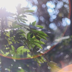 64F4ACCE-E17C-4776-AC74-F6A43CE383FC/L0/001