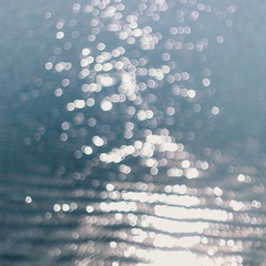 D0C440A5-F740-403C-9AEC-1B74CB228718/L0/001
