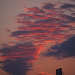 AFA4FE5D-668D-4F19-9335-C0DFAE760562/L0/001