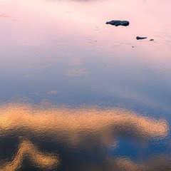 E77C5808-1669-4C9F-A74D-9503C98E61BF/L0/001