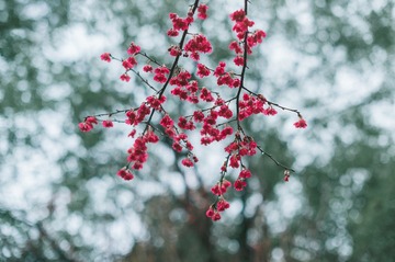 AB6D7196-8E00-4CE0-A160-7225E3D8F1F2/L0/001