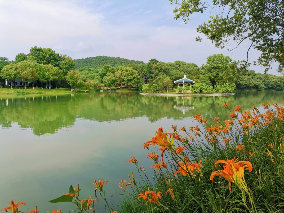 夏日午后美丽的公园