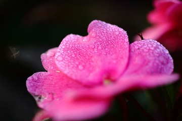 201705272