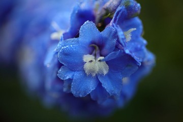 201705275