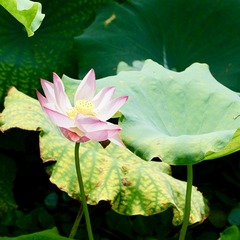 001