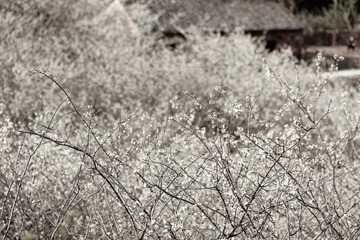 82F63BA0-E6D7-4781-A618-FFD5B1197477/L0/001