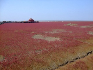 红海滩