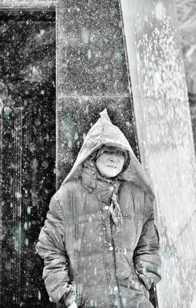 雪中的等待