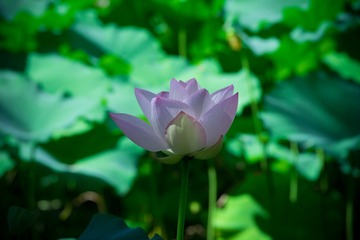 DSC_0677-2