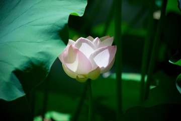 DSC_0712-2