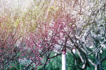 IMG_20160407_112727