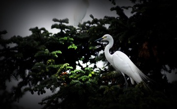 DSC01957_